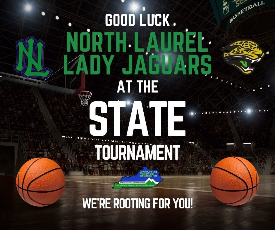Good Luck Lady Jags